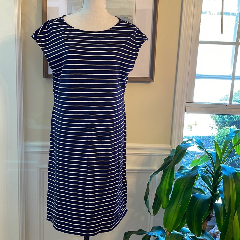 Navy Striped Dress